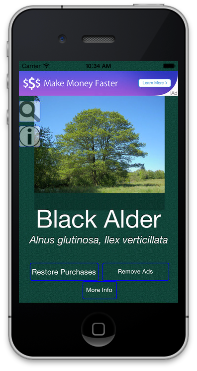 Dictionary Apps interface running on an iPhone